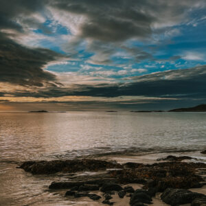 Mehr über den Artikel erfahren CMT 2024 – WIR KOMMEN WIDER