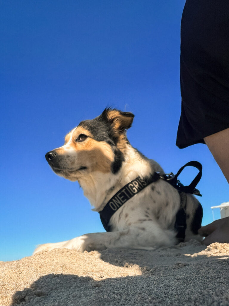 8 25 norwegen trip web 124