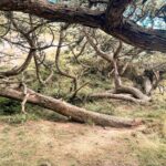 8 25 norwegen trip web 32